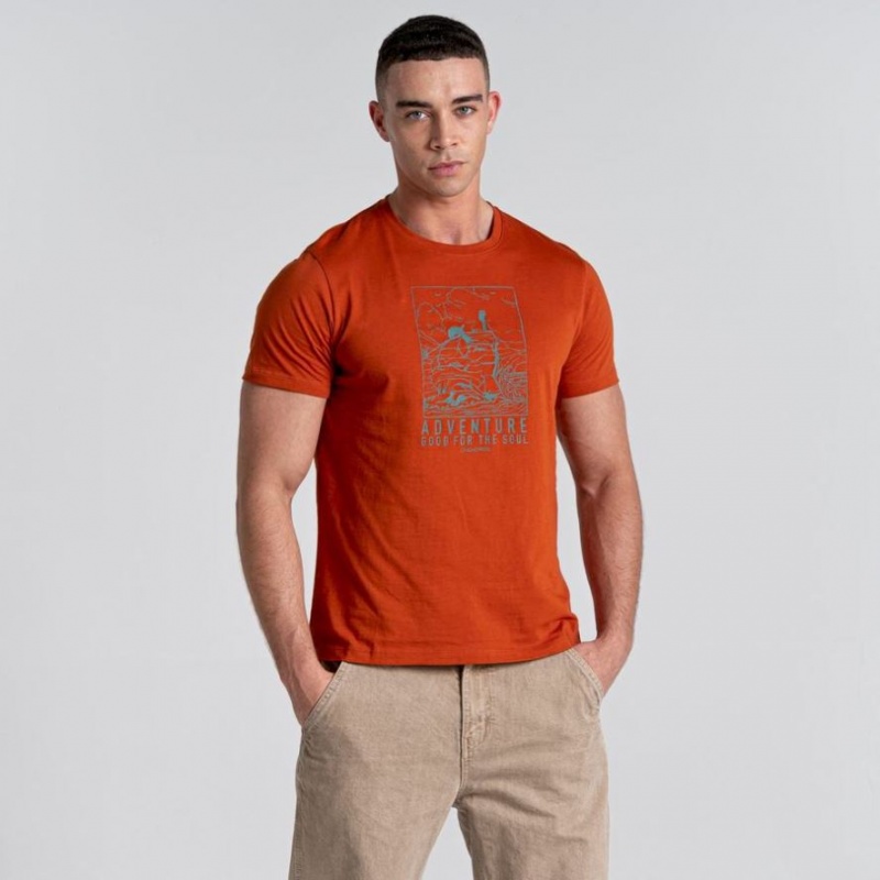 T Shirts Craghoppers Caldo Corta Sleeve Homme Orange | SZIJ50431