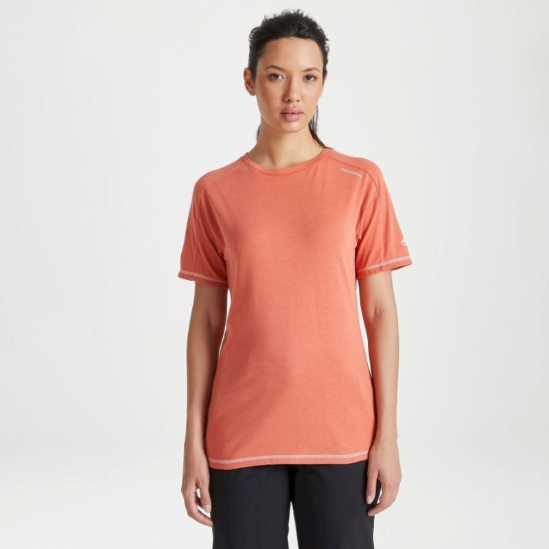 T Shirts Craghoppers Dynamic Corta Sleeve Warm Ginger Femme Orange | XEYD10957