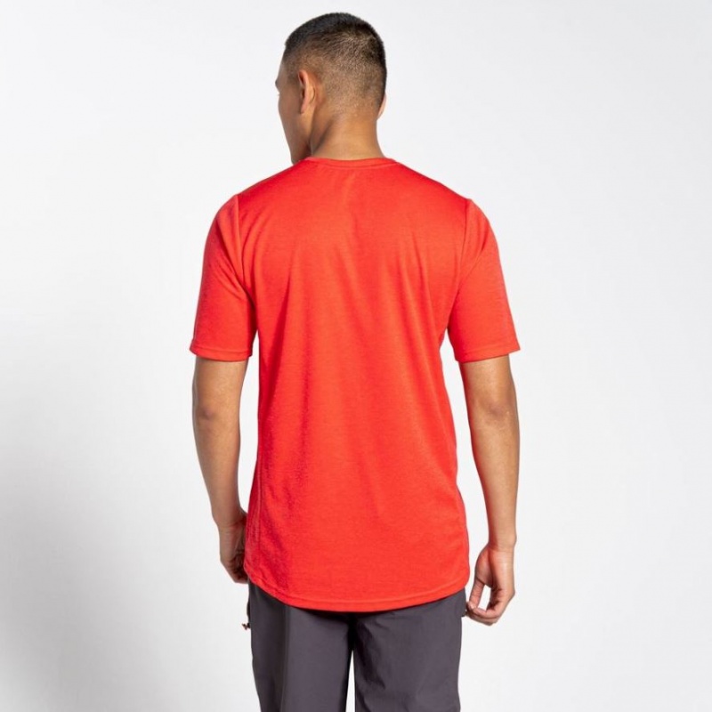 T Shirts Craghoppers NosiLife Pro Active Corta Sleeve Homme Rouge | CMLW16809