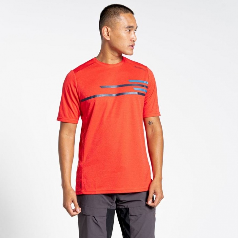 T Shirts Craghoppers NosiLife Pro Active Corta Sleeve Homme Rouge | CMLW16809