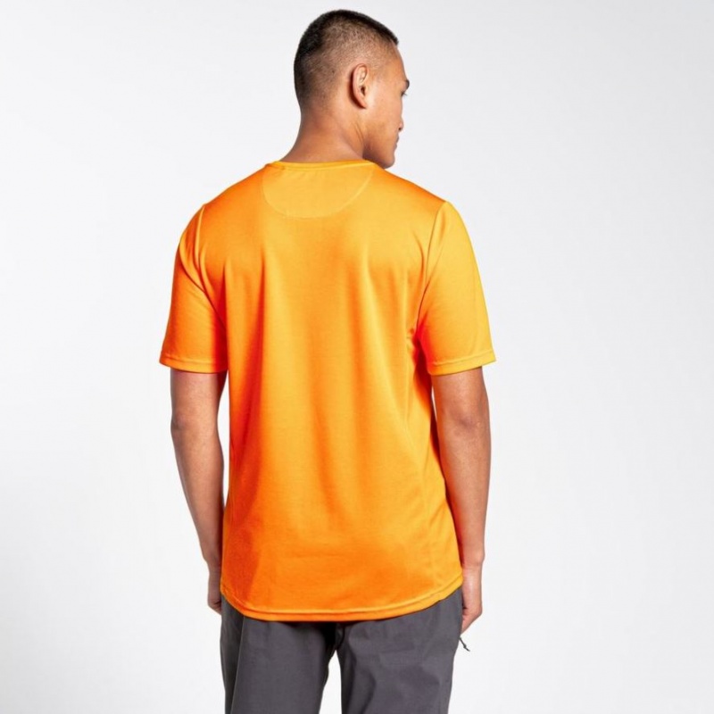 T Shirts Craghoppers NosiLife Pro Active Corta Sleeve Homme Orange | RDBO06281