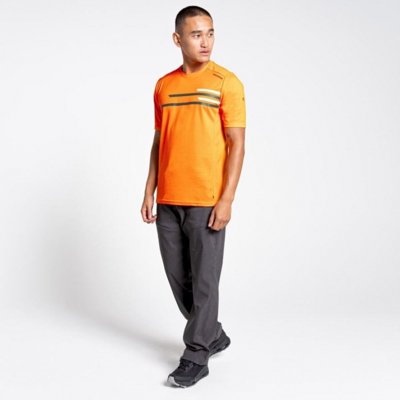 T Shirts Craghoppers NosiLife Pro Active Corta Sleeve Homme Orange | RDBO06281