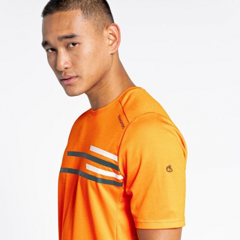 T Shirts Craghoppers NosiLife Pro Active Corta Sleeve Homme Orange | RDBO06281