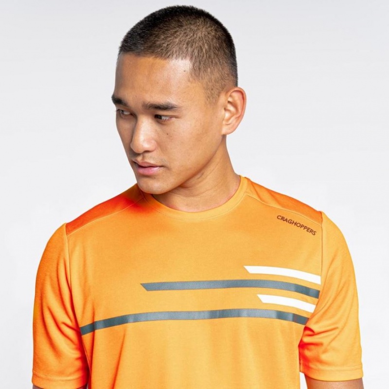 T Shirts Craghoppers NosiLife Pro Active Corta Sleeve Homme Orange | RDBO06281