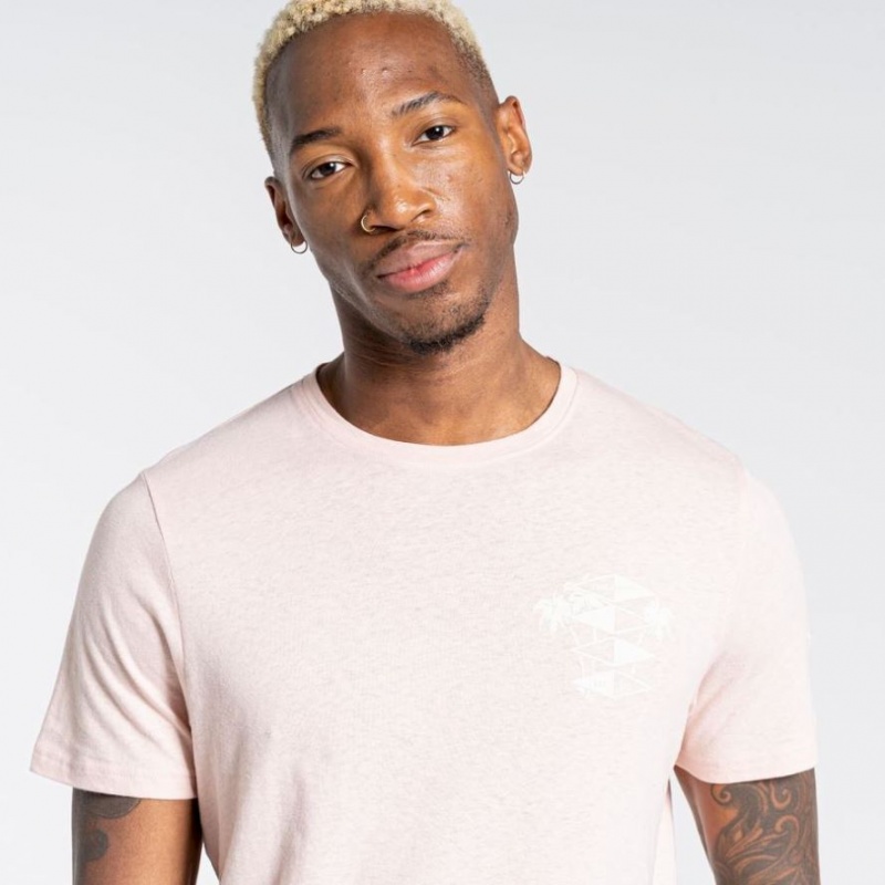 T Shirts Craghoppers Nosibotanical Sten Corta Sleeve Homme Rose | BYCP58621