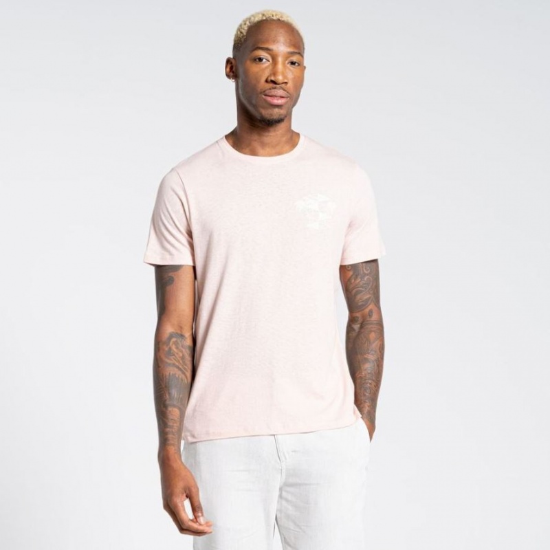 T Shirts Craghoppers Nosibotanical Sten Corta Sleeve Homme Rose | BYCP58621