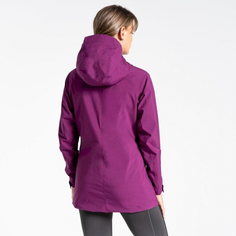 Veste Gore-Tex Craghoppers Minola Femme Violette | IQNY27038