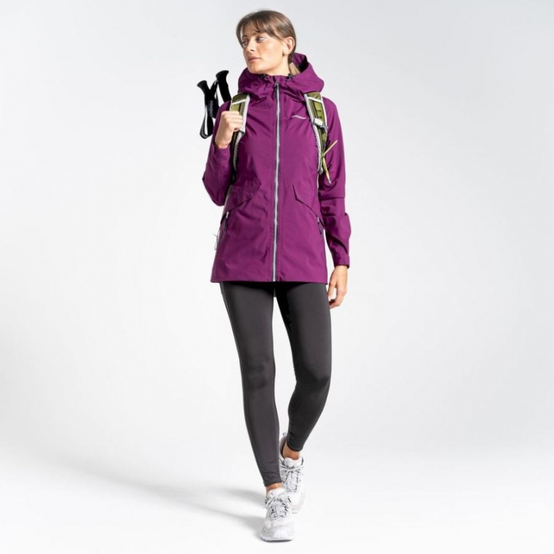 Veste Gore-Tex Craghoppers Minola Femme Violette | IQNY27038