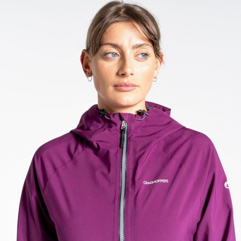 Veste Gore-Tex Craghoppers Minola Femme Violette | IQNY27038