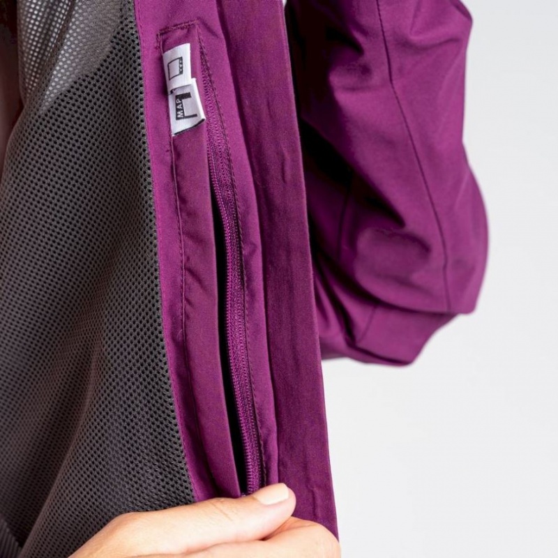 Veste Gore-Tex Craghoppers Minola Femme Violette | IQNY27038