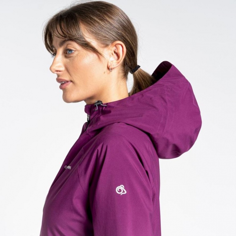 Veste Gore-Tex Craghoppers Minola Femme Violette | IQNY27038