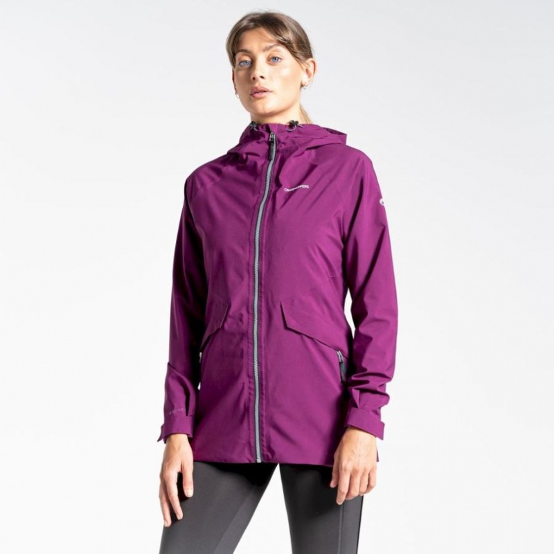 Veste Gore-Tex Craghoppers Minola Femme Violette | IQNY27038