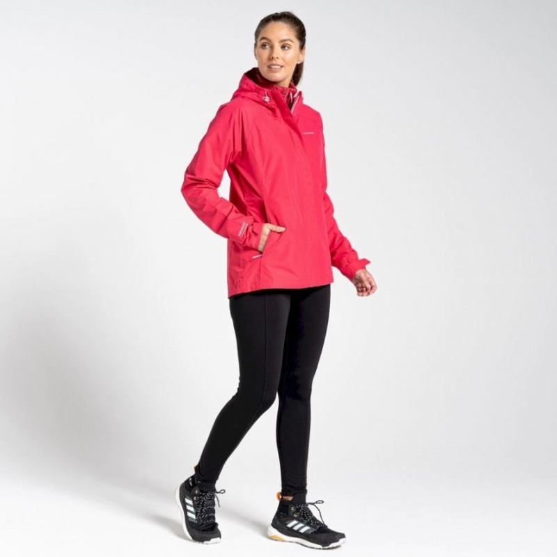 Veste Imperméable Craghoppers Orion Femme Rose | NVCL39672