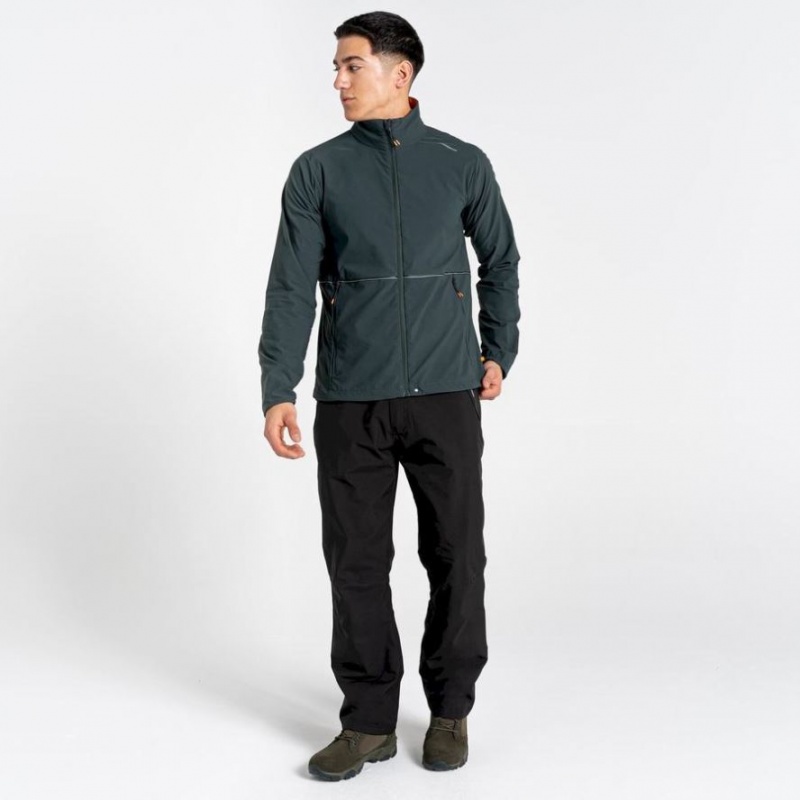 Veste Softshell Craghoppers NosiLife Active Homme Vert | BPWX46123