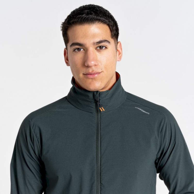 Veste Softshell Craghoppers NosiLife Active Homme Vert | BPWX46123