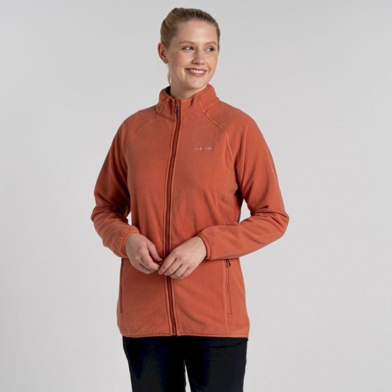 Veste À Capuche Craghoppers 3 In 1 Femme Marron | KOSA57814