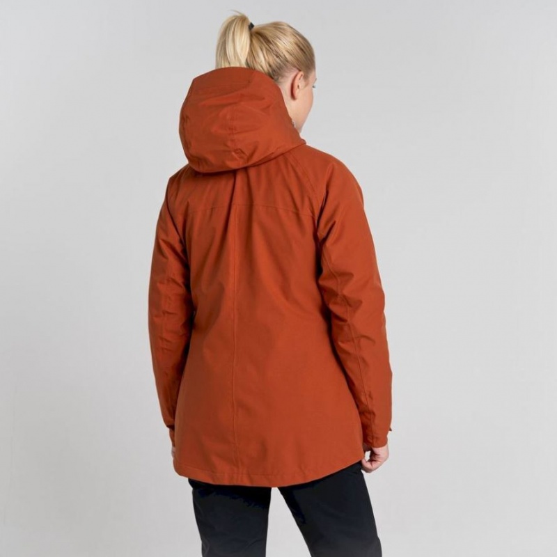 Veste À Capuche Craghoppers 3 In 1 Femme Marron | KOSA57814