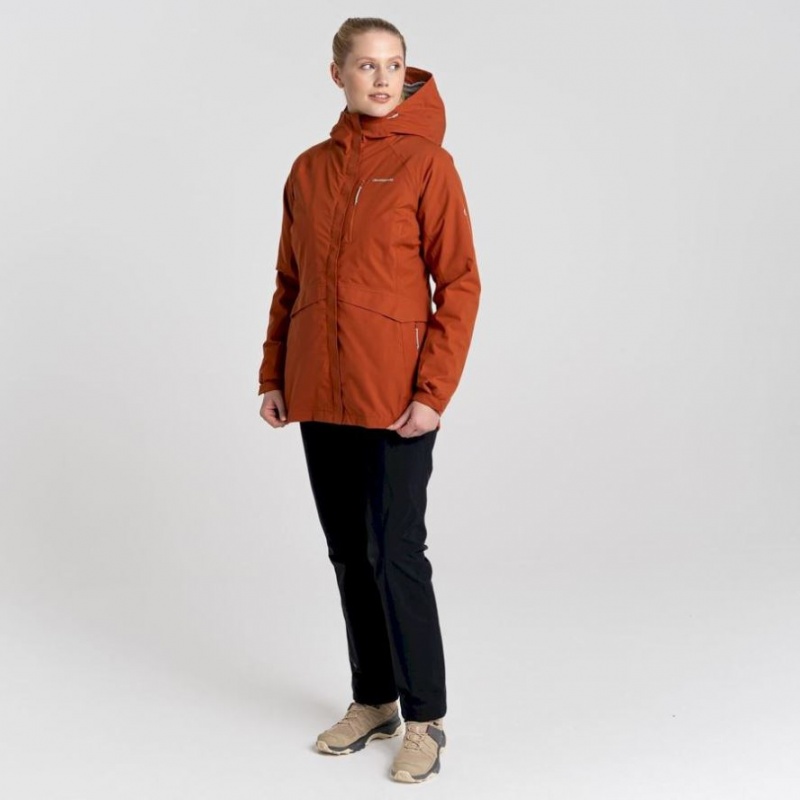 Veste À Capuche Craghoppers 3 In 1 Femme Marron | KOSA57814