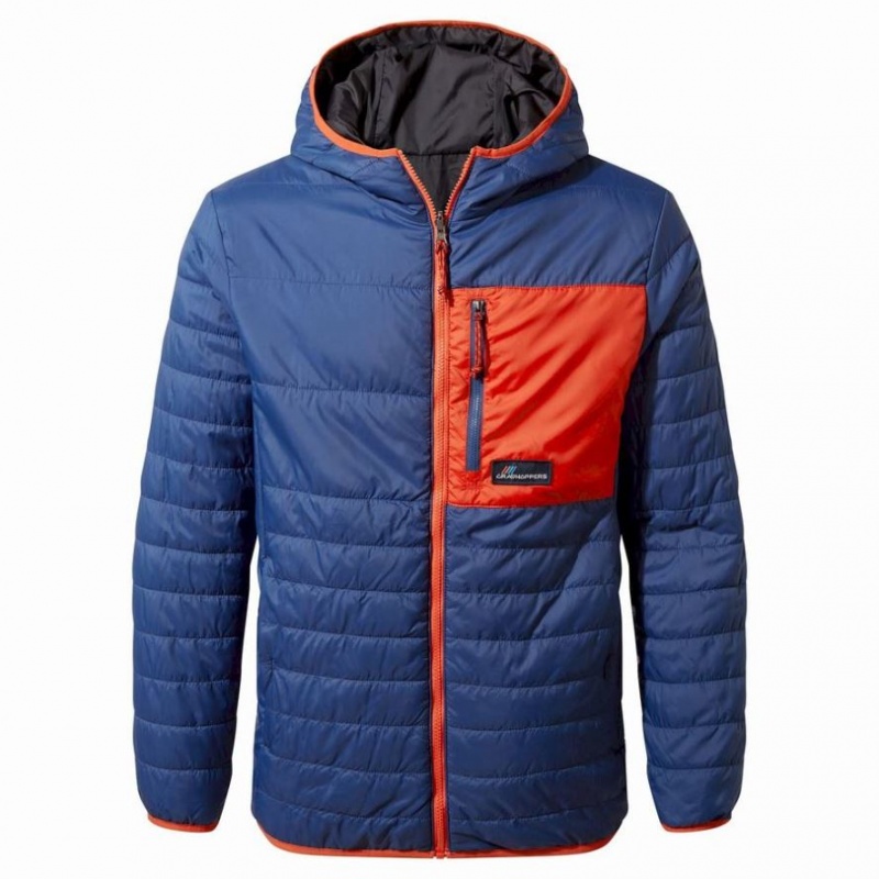 Veste À Capuche Craghoppers Cameo CompressLite Homme Bleu | IOSW04926