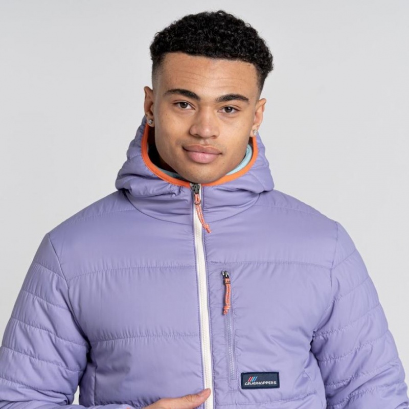 Veste À Capuche Craghoppers Cameo CompressLite Homme Violette | HVOK15748