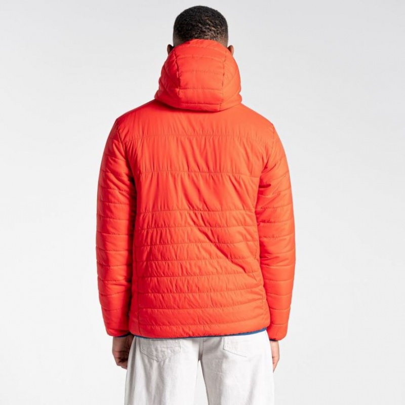 Veste À Capuche Craghoppers Cameo CompressLite Homme Orange | EFYJ94231