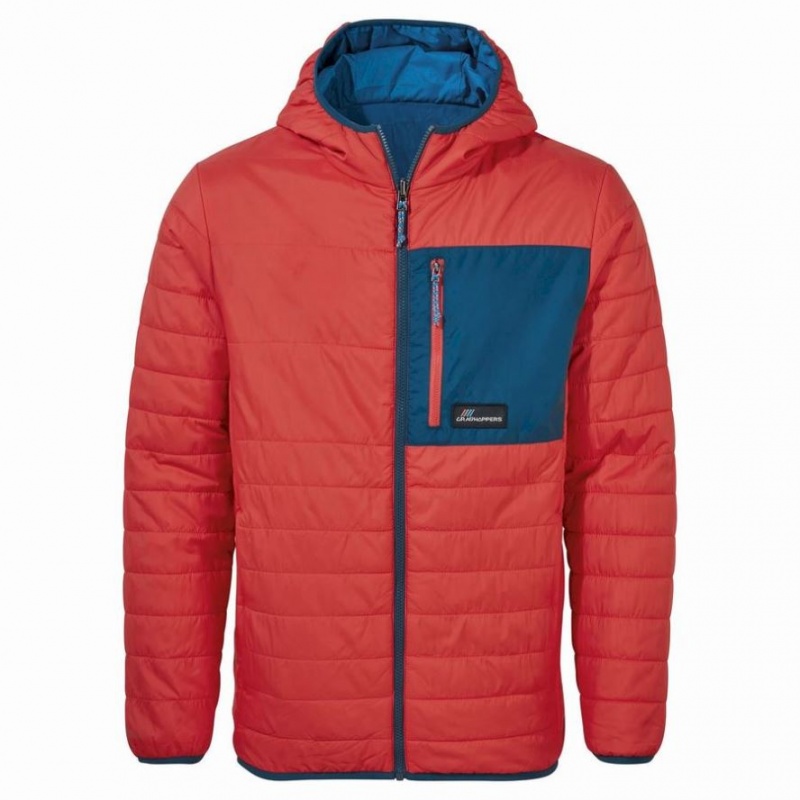 Veste À Capuche Craghoppers Cameo CompressLite Homme Orange | EFYJ94231