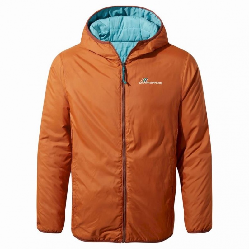 Veste À Capuche Craghoppers Cameo CompressLite Homme Turquoise | URWI43258