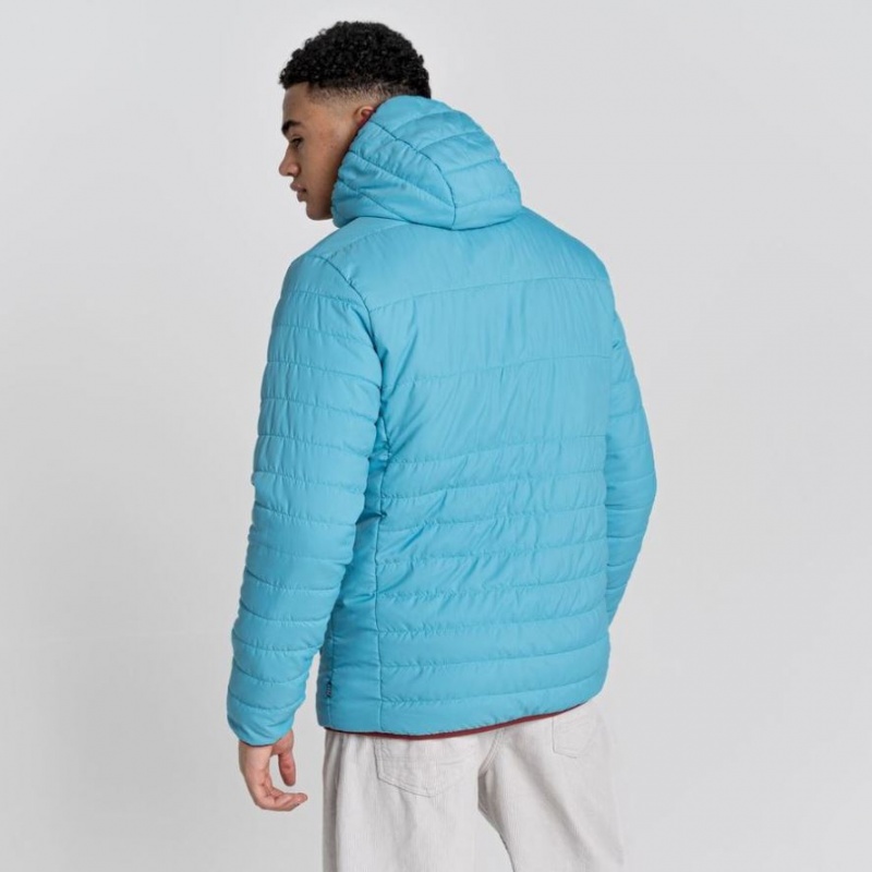 Veste À Capuche Craghoppers Cameo CompressLite Homme Turquoise | URWI43258