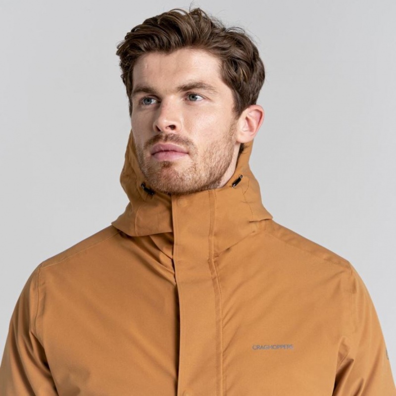 Veste À Capuche Craghoppers Lorton Pro 3 In 1 Homme Marron | ELZP37950