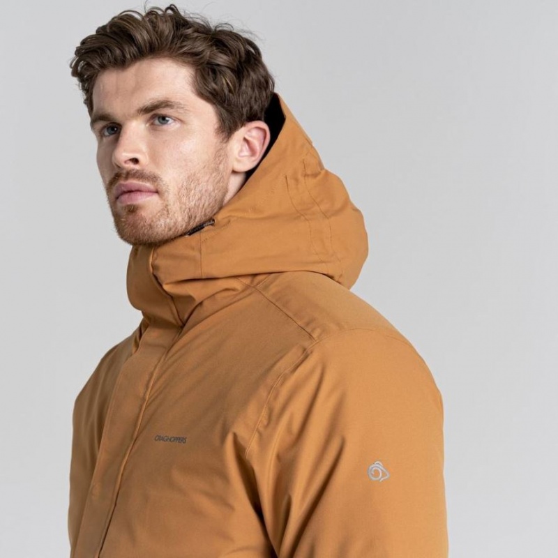 Veste À Capuche Craghoppers Lorton Pro 3 In 1 Homme Marron | ELZP37950