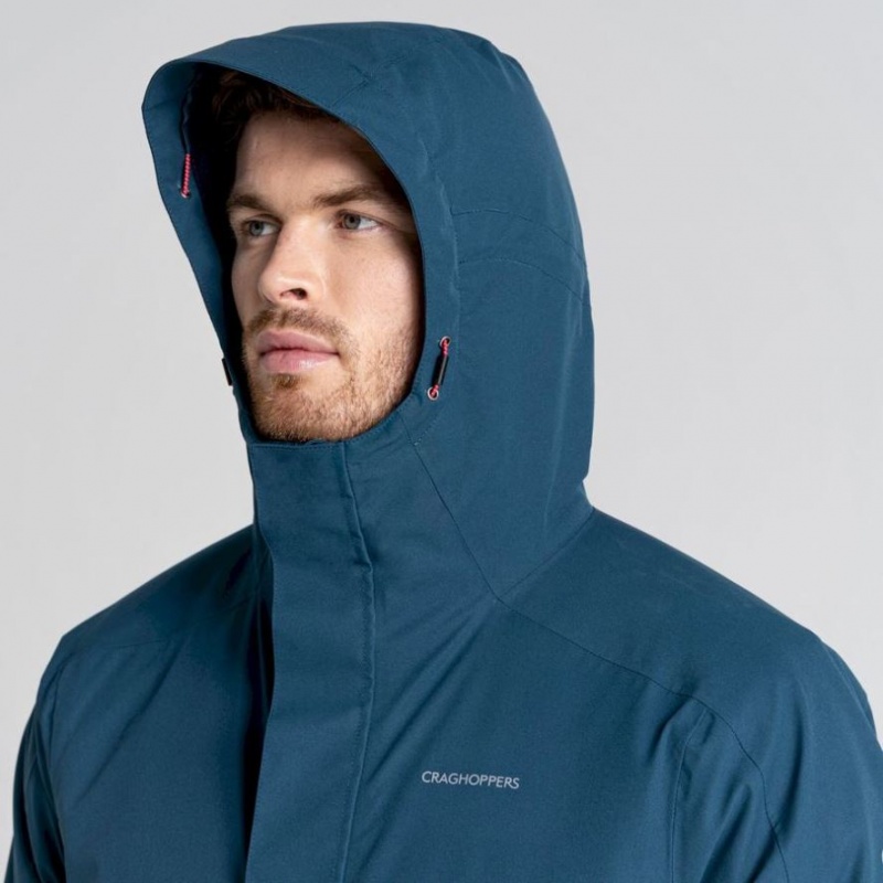 Veste À Capuche Craghoppers Lorton Thermic Homme Bleu | ZDLJ19853